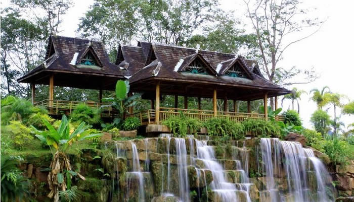 ����ֲ��԰