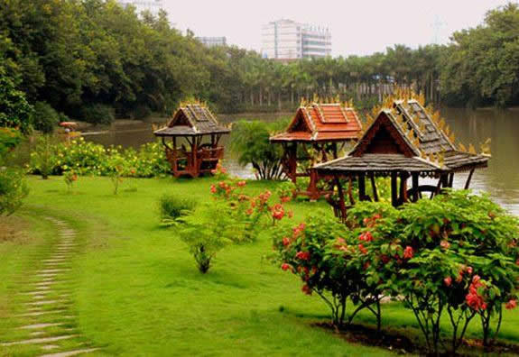 ����ֲ��԰