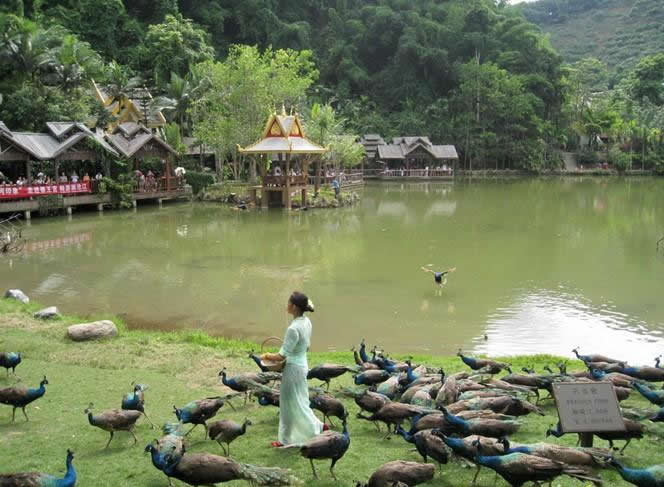 �ն�����ɭ�ֹ�԰