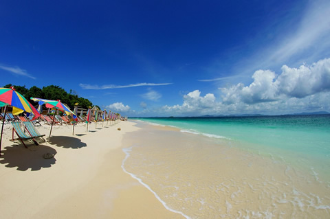 �����������ռ�Ʒ����5��6��(���ǣ�