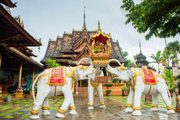 ����-����-��˫����-Ұ���-����ֲ��԰��Ʒ��5��6����