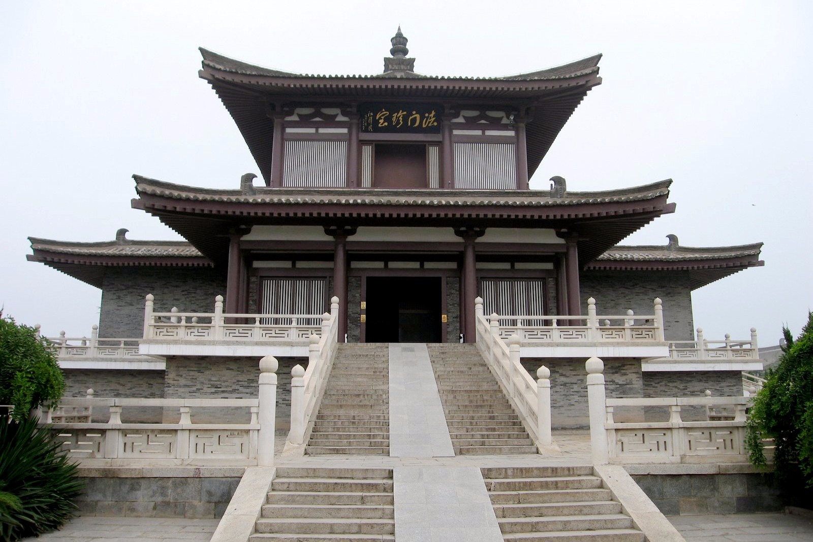 ��������˫��5����